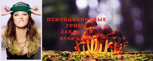 соль ск Балабаново