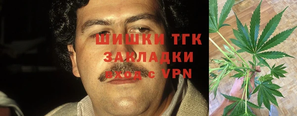 гашик Балахна