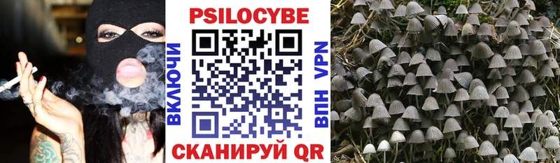 Галлюциногенные грибы Psilocybine cubensis  наркошоп  Демидов 